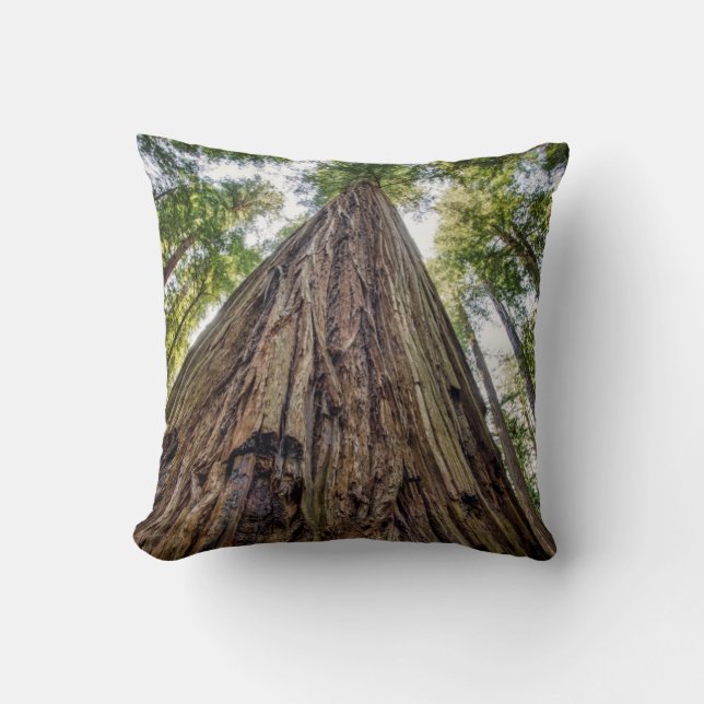 Roosevelt Grove Cushion (Front)