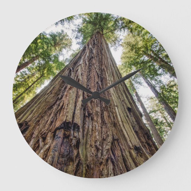 Roosevelt Grove Large Clock (Front)