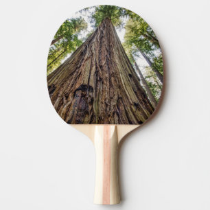 Roosevelt Grove Ping Pong Paddle