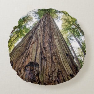 Roosevelt Grove Round Cushion