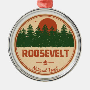 Roosevelt National Forest Metal Ornament