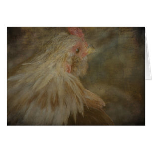 Rooster