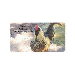 Rooster Address Labels