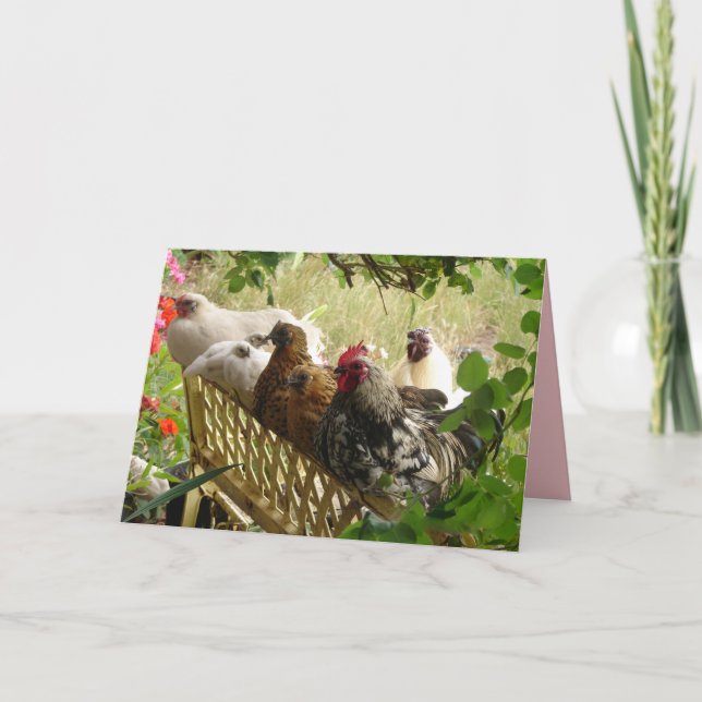 Rooster and Chickens Chook Farm Country Card (Front)