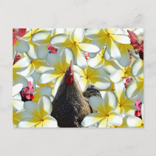 Rooster And Frangipanis, Postcard