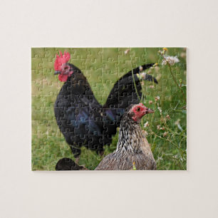 Rooster and Hen Jigsaw Puzzle
