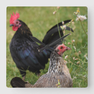 Rooster and Hen Square Wall Clock