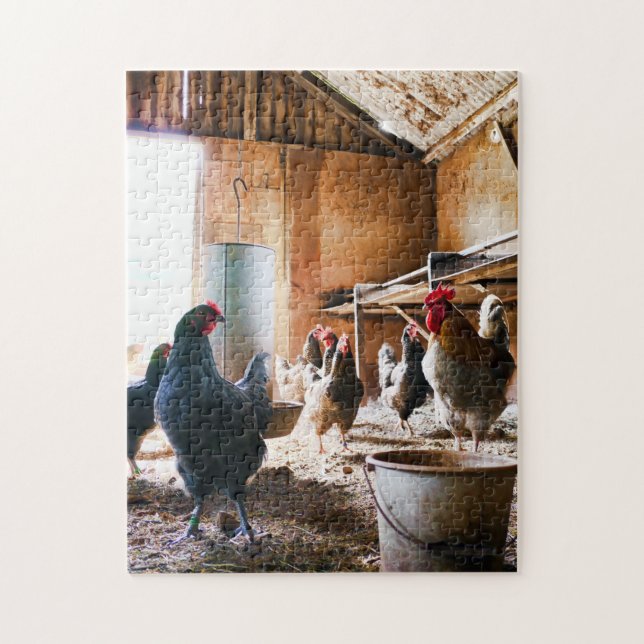 Rooster and Hens inside of Barn Jigsaw Puzzle (Vertical)