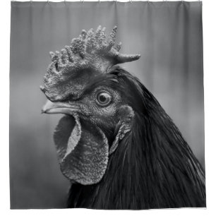 Rooster Black and White Shower Curtain