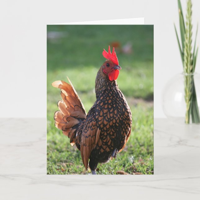 Rooster, Blank Note Card (Front)