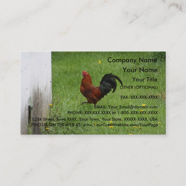 Rooster- business card template (Front)