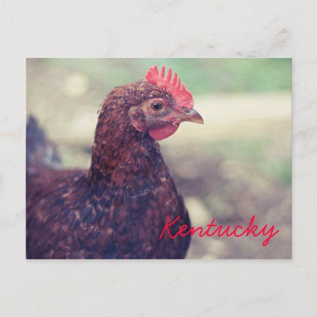 Rooster by JerseyFawn Postcard (Front)