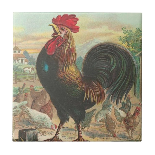 Rooster Ceramic Tile (Front)