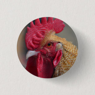 Rooster Chicken 3 Cm Round Badge