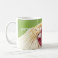 rooster, chicken, animal, bird, design, farm,