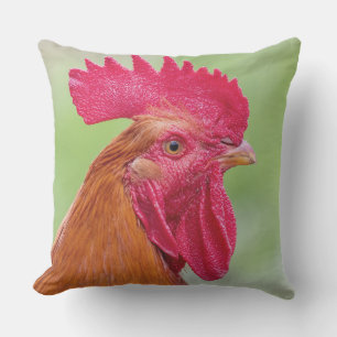 Rooster & Chicken Cushion