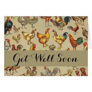 Rooster Chicken Farm Animal Poultry Country