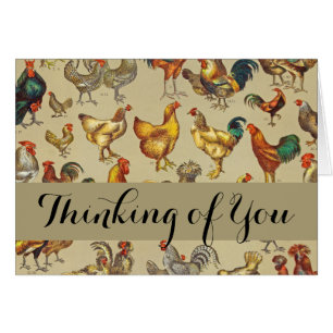 Rooster Chicken Farm Animal Poultry Country