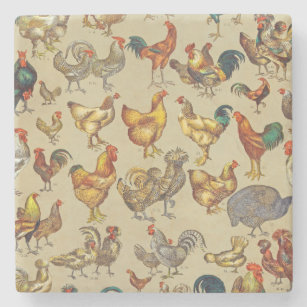Rooster Chicken Farm Animal Poultry Country Stone Coaster