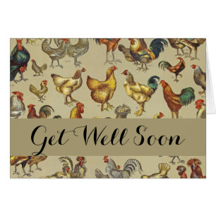 Rooster Chicken Farm Country Animal
