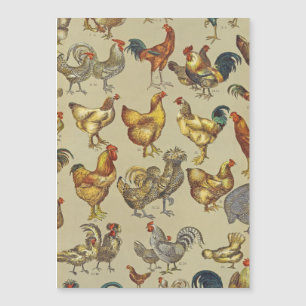 Rooster Chicken Farm Country Animal