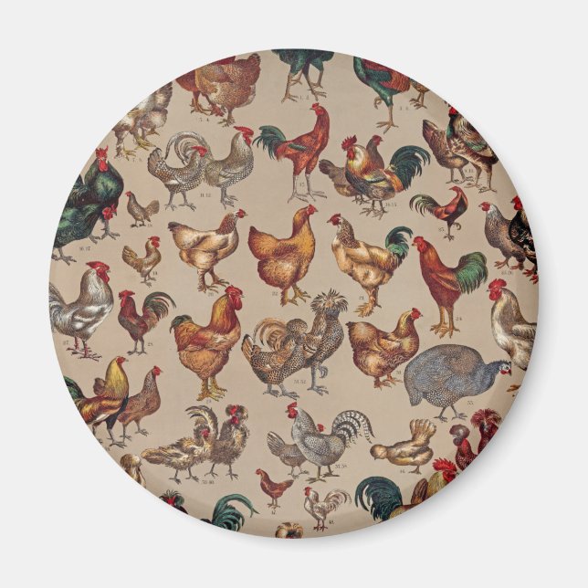 Rooster Chicken Farm Country Animal Magnet (Front)