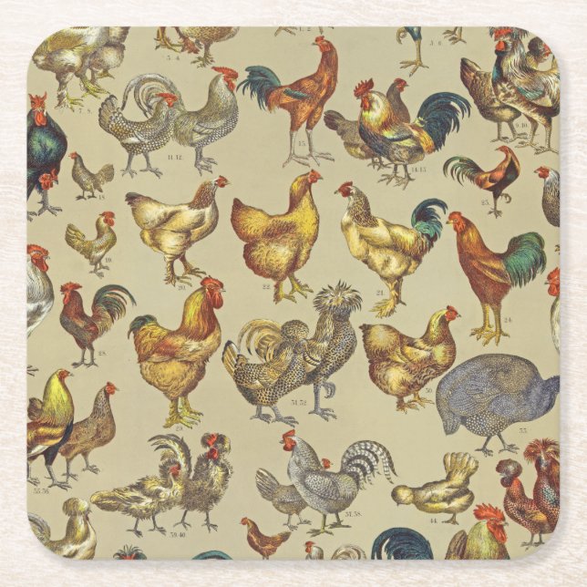 Rooster Chicken Farm Country Animal Square Paper Coaster (Front)