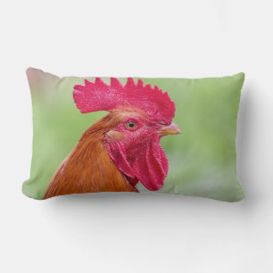 Rooster & Chicken Lumbar Cushion