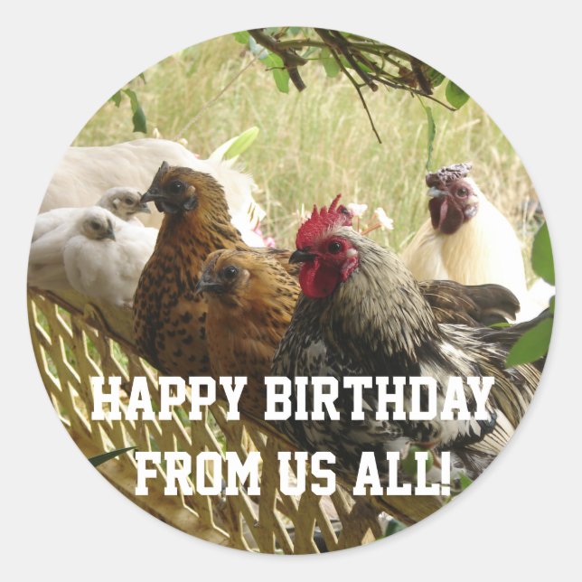 Rooster Chickens Happy Birthday from Us All Card Classic Round Sticker (Front)