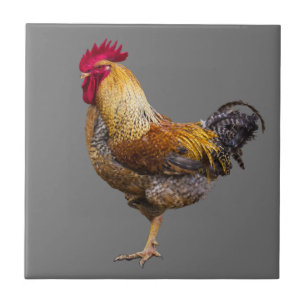 Rooster Choose Color Kitchen Ceramic Tile