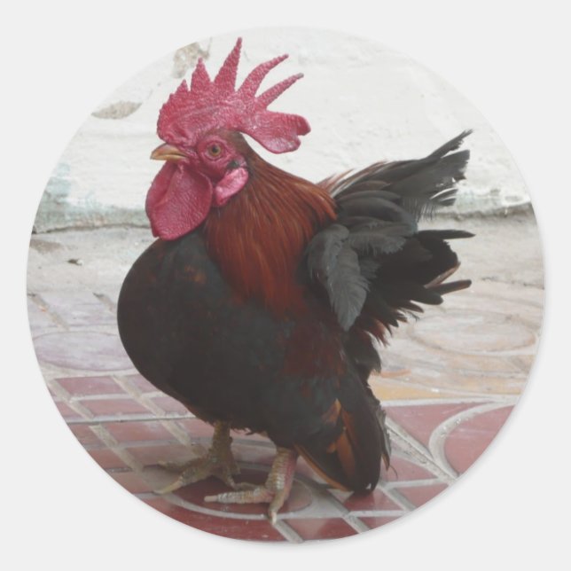 ROOSTER CLASSIC ROUND STICKER (Front)