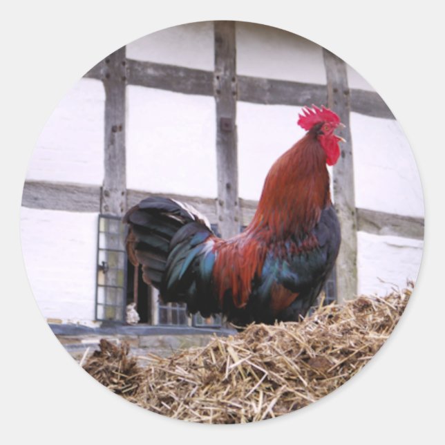 ROOSTER CLASSIC ROUND STICKER (Front)