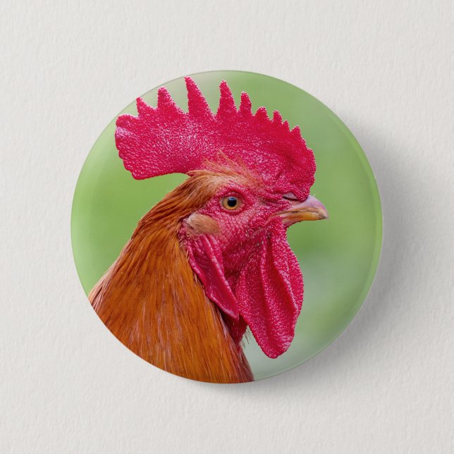 Rooster Close-Up 6 Cm Round Badge (Front)