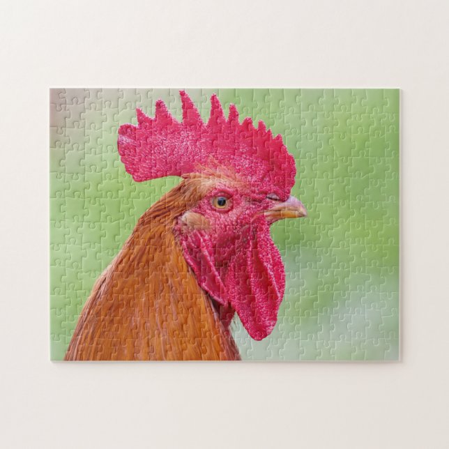 Rooster close-Up Jigsaw Puzzle (Horizontal)
