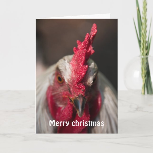Rooster close up portrait christmas holiday card (Front)