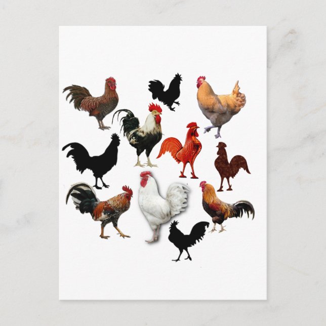 Rooster Collage Vintage Rustic Chickens Postcard (Front)