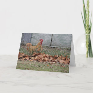 Rooster, Congratulations Card
