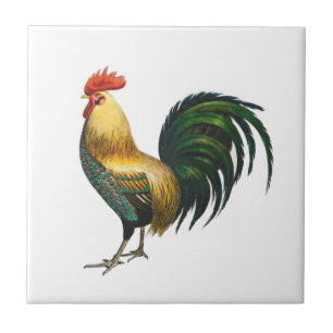 Rooster country classic stylish traditional bird   ceramic tile