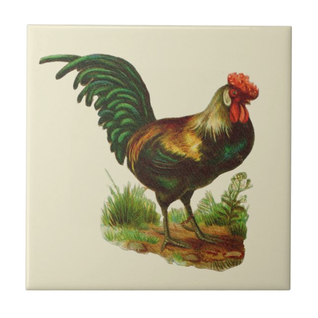 Rooster Country Kitchen Ceramic Tile (Front)