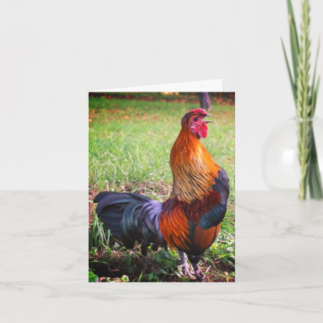 Rooster Crowing 2 Farm Animal Note Card (Front)