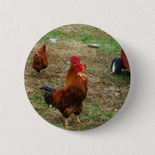 Rooster Crowing 6 Cm Round Badge
