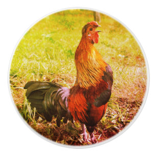 Rooster Crowing Farm Animal Abstract  Ceramic Knob
