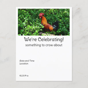 Rooster Crowing  Postcard