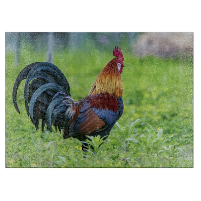 Rooster Decorative Glass Cutting Board Collectors (Front)
