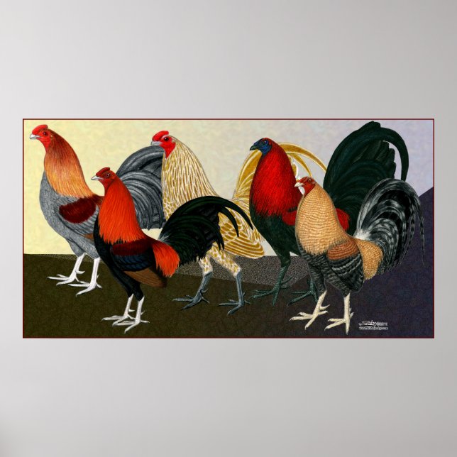 Rooster Dream Team Poster (Front)