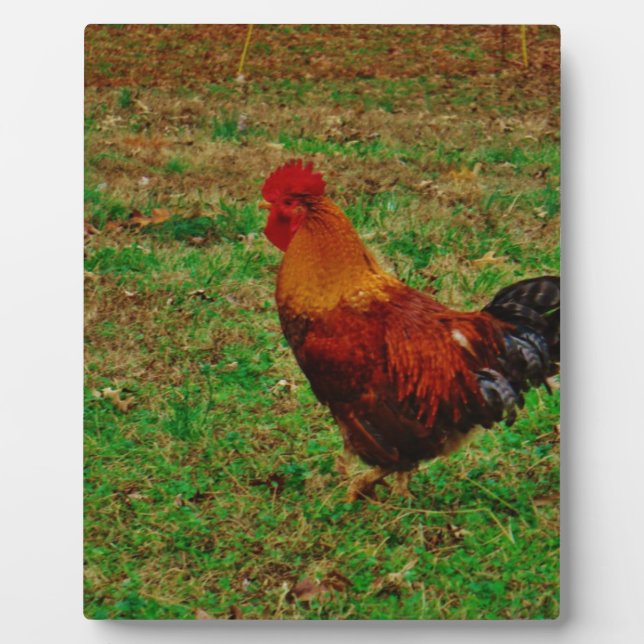 Rooster Facing Left Plaque (Front)