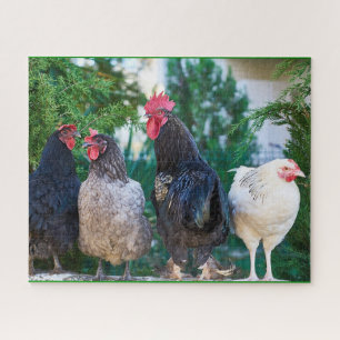 Rooster Family Jigsaw Puzzle
