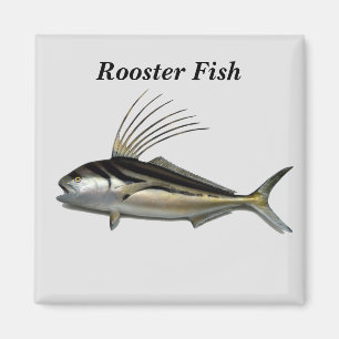 Rooster fish background magnet