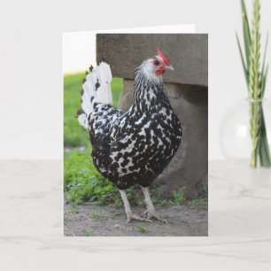 Rooster greeting card