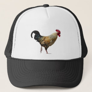 Rooster Hat